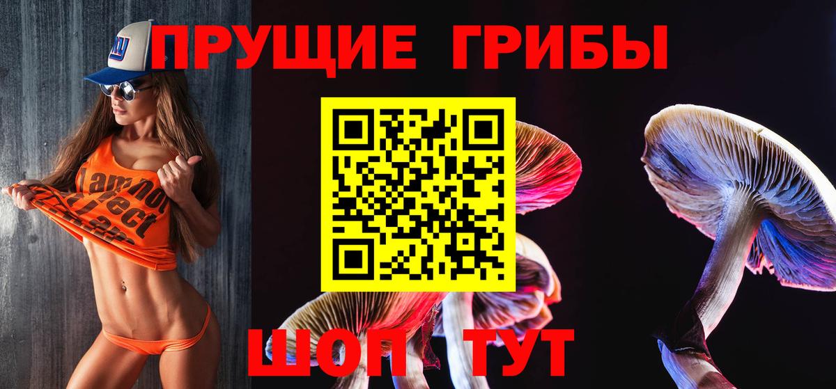 Псилоцибиновые грибы MAGIC MUSHROOMS  Псилоцибиновые грибы мицелий  Унеча  Вход с VPN 