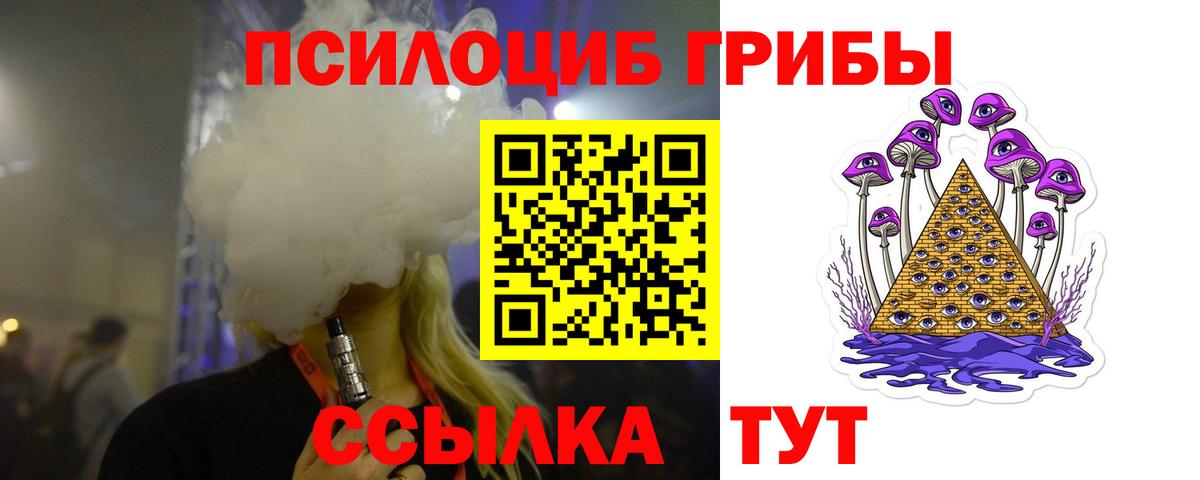 Псилоцибиновые грибы мицелий Унеча